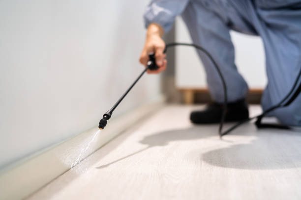 Bed Bug Pre-Treatment Preparation Assessment in Lochsloy