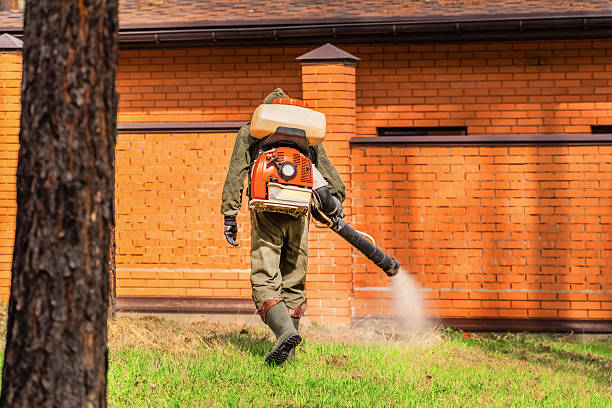 Bed Bug Clearance Verification and Documentation in Lochsloy